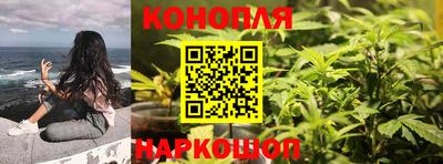 МДПВ Кингисепп