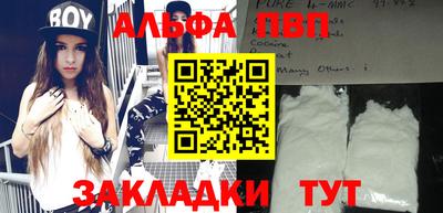 МДПВ Кингисепп